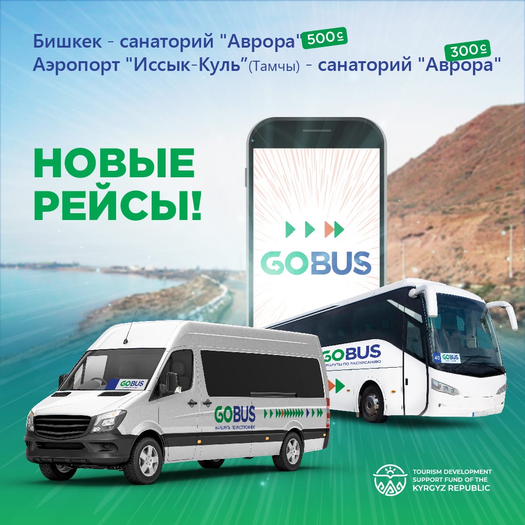 С 15 июня GoBus курсируют по двум новым направлениям на Иссык-Куль |  www.silunews.kg