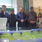 Делегация Алматинской области Казахстана посетила Синьцзян